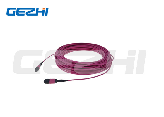 12Core Data Center Om4 Red Rose Round Mtp Mpo Optical Cable Patch Cord