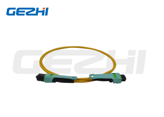 24-Core OS2 Fiber Patch Cord Customized Lengths For FTTX / CATV