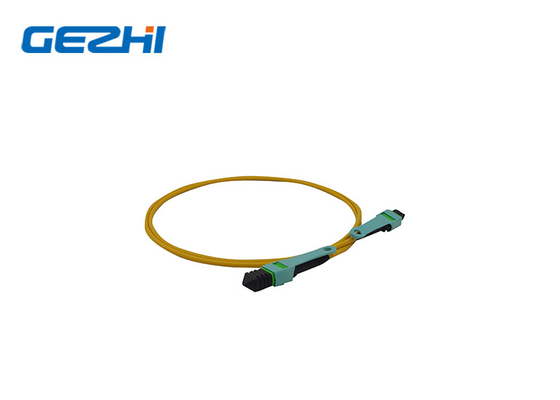 Buy MPO OM3 Fiber Optic Patch Cord 12 Fiber MPO Trunk Cable Low PDL online manufacture