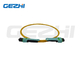 MTP / MPO Trunk Cable 24 Cores OS2 Optical Fiber Patch Cord