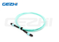 24F MPO(Female) - MPO(Female) 3.0mm LSZH Fiber Optic Patch Cord / Trunk Cable