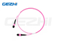 24F MPO(Female) - MPO(Female) 3.0mm LSZH Fiber Optic Patch Cord / Trunk Cable