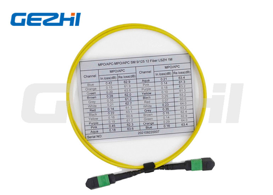 12 Fibre Multimode Patch Cable Series Female OS2 9/125 MPO Cable
